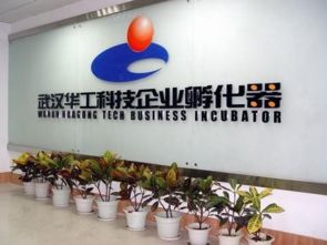 光谷孵化器眾創(chuàng)空間大閱兵 上篇——信息技術咨詢服務的新篇章